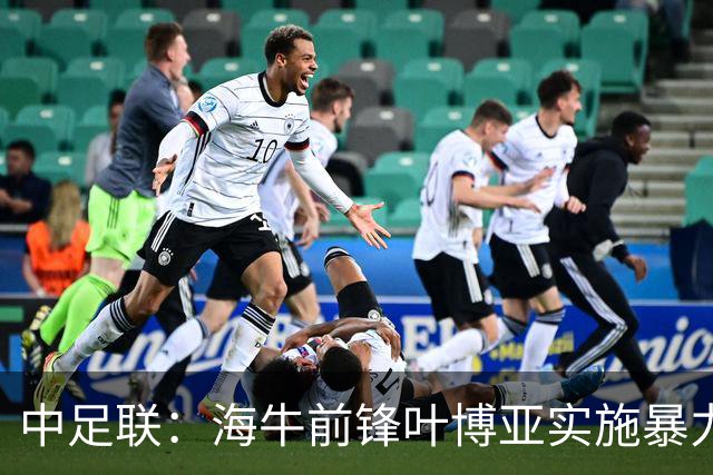 中足联：海牛前锋叶博亚实施暴力行为 停赛4场罚款4万